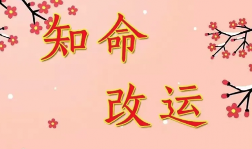 身弱伤官适合做什么工作