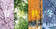 出生季节算命