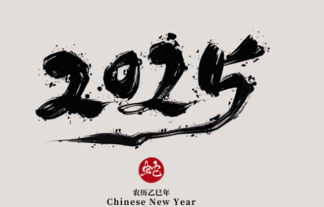 2025乙巳年运势详解