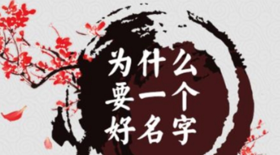 2025年出生宝宝最佳名字排行