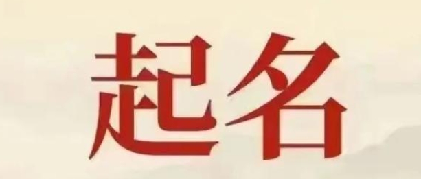起名软件付费版与免费版区别