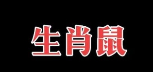 属鼠人金箔金命格解析