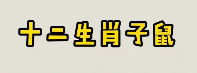 属鼠人五行属什么命