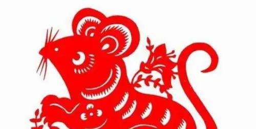属鼠人八字中水旺的特征