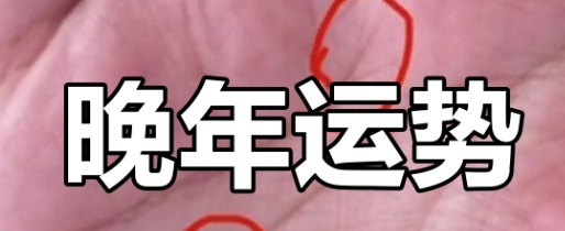 财禄命晚年运势预测