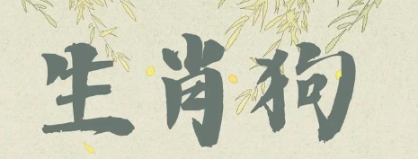 生肖狗的职场贵人运