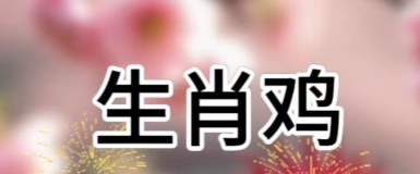生肖鸡的正财运特征