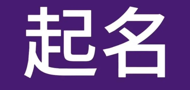 生肖龙宝宝起名指南