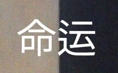 相同八字命运完全不同