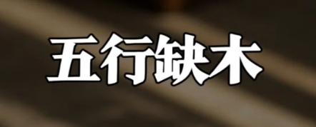 五行缺木的女生应该找什么对象