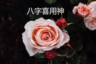 八字喜用神查询 怎样查询八字喜用神