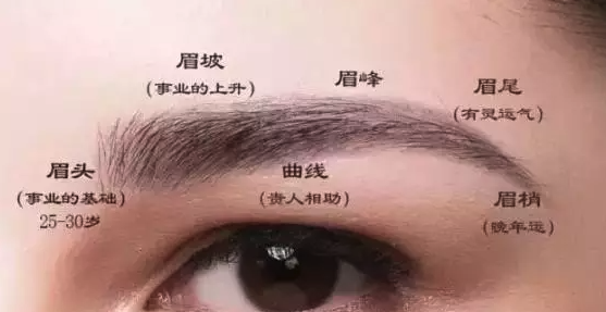 7种眉毛看你感情好坏