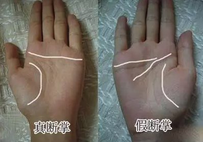 断掌,男大富大贵,女命里克夫?