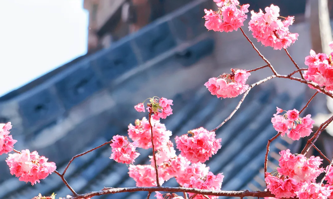八字看你婚运,何时桃花旺? 八字看你婚运,何时桃花旺?