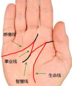 手掌纹和人的关系