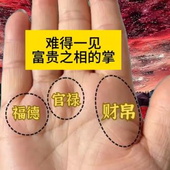 掌权的手相