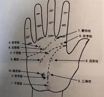 手掌乱纹多的人命运如何？