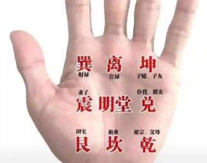 从掌纹到命运，一双手暗藏的人生密码