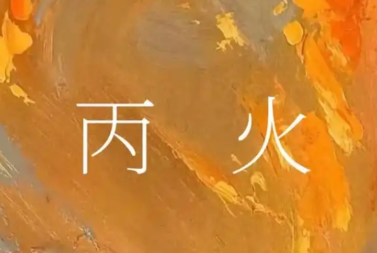 乙巳年辛巳月丙火运势