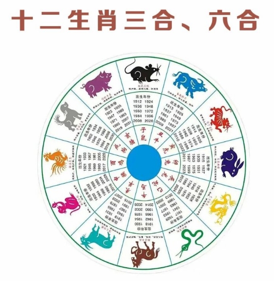 十二生肖最佳搭配是什么