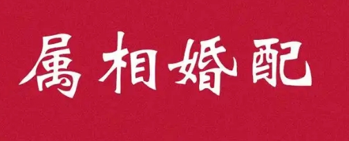 男属羊和女属蛇的婚姻相配吗