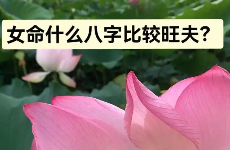 什么样八字的女人才是真正的旺夫命?