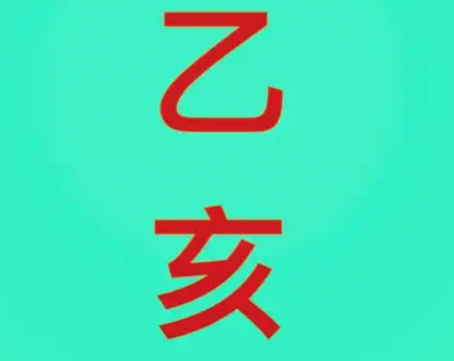 乙亥日柱女命怎么样