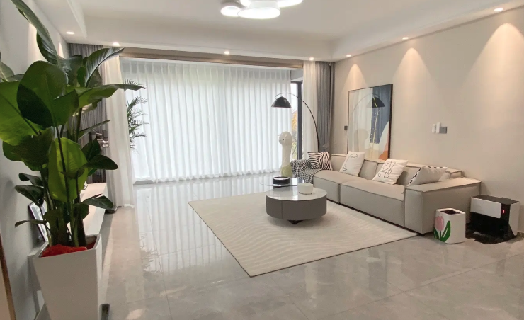 客厅最旺宅的植物