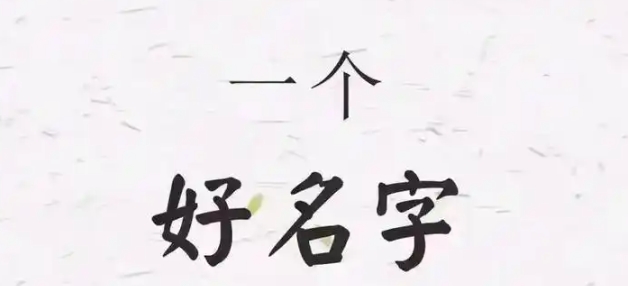 属狗名字里带什么字不好