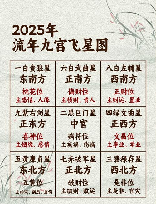 2025年九宫飞星图详解及化解方法