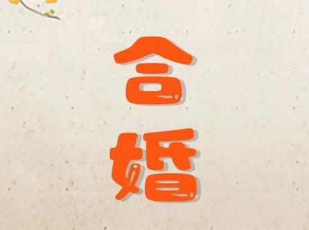 属龙的跟什么合婚最好