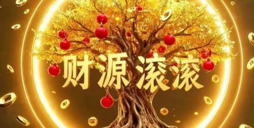 家里财位放什么最旺财？