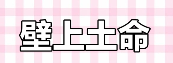 壁上土命男孩五行缺什么