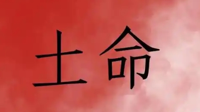 土命中什么土的命最好