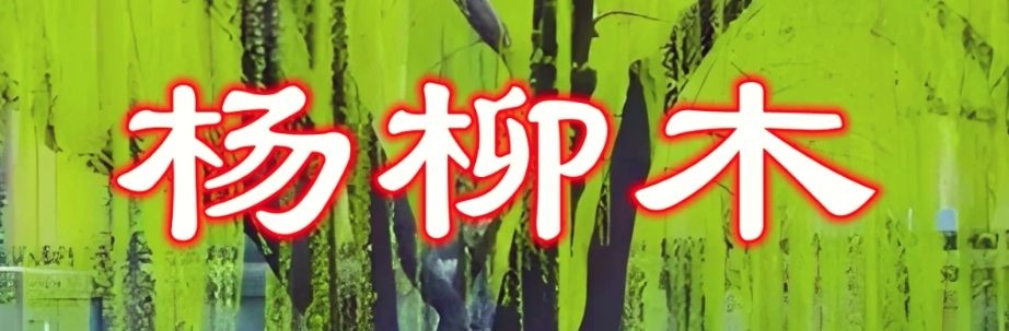 杨柳木命男好不好